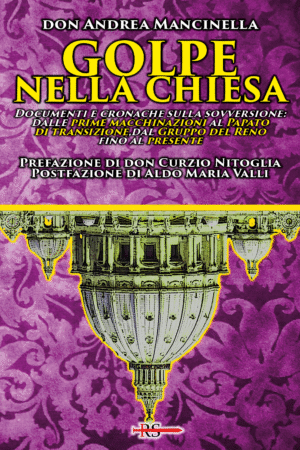 Golpe nella Chiesa. Documenti e cronache sulla sovversione: dalle prime macchinazioni al Papato di transizione, dal Gruppo del Reno fino al presente